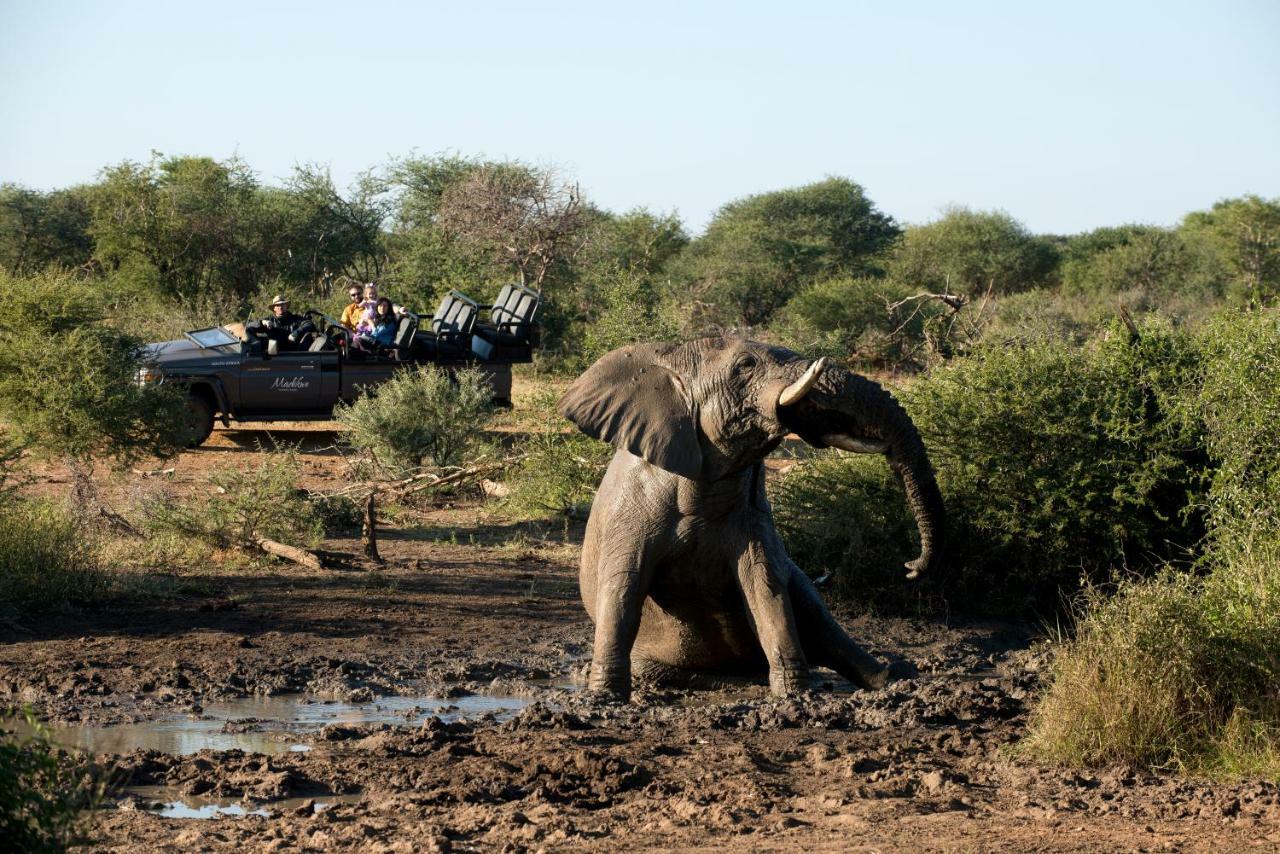 Madikwe Safari Lodge Melorane Eksteriør billede